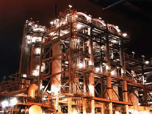 Plant at night